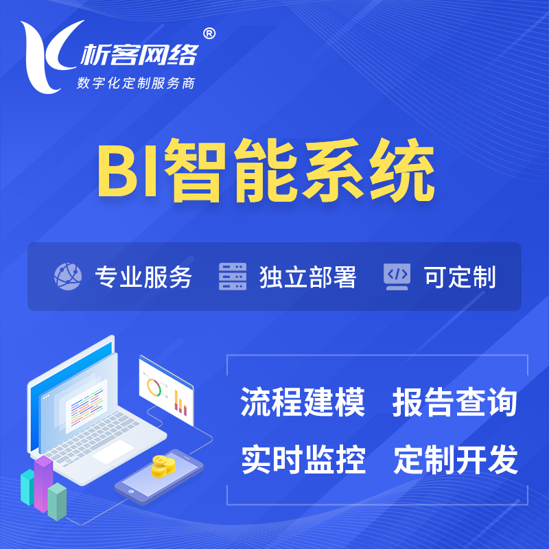 宁波BI智能系统 | BI数据可视化