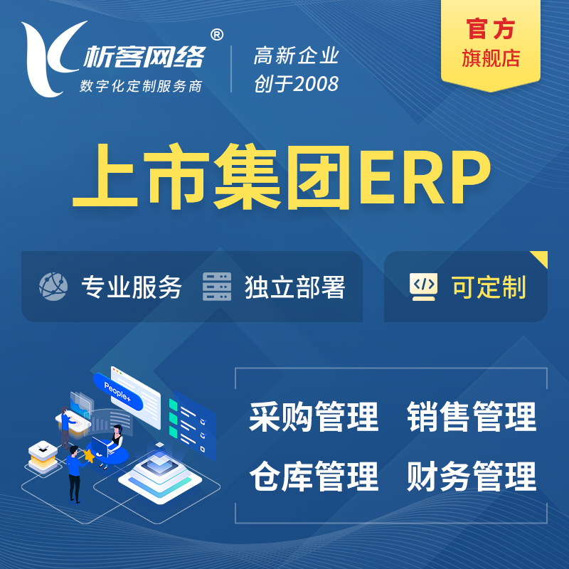 宁波上市集团ERP软件生产MES车间管理系统